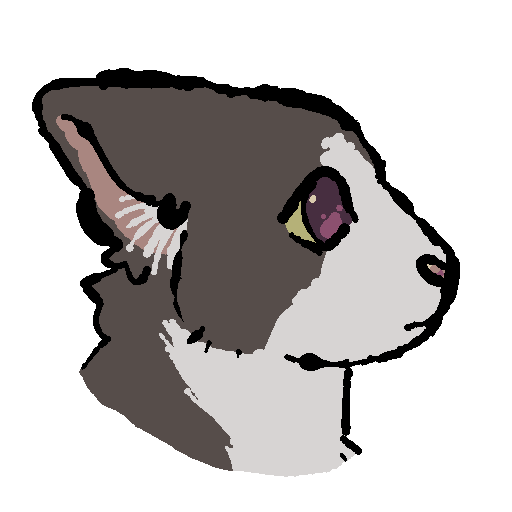 a grey and white cat's head, facing the right